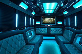 gorgeous party bus seats